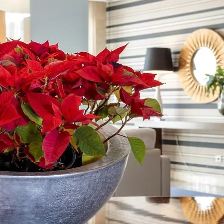 Hotel Porta Do Sol Conference & Caminha