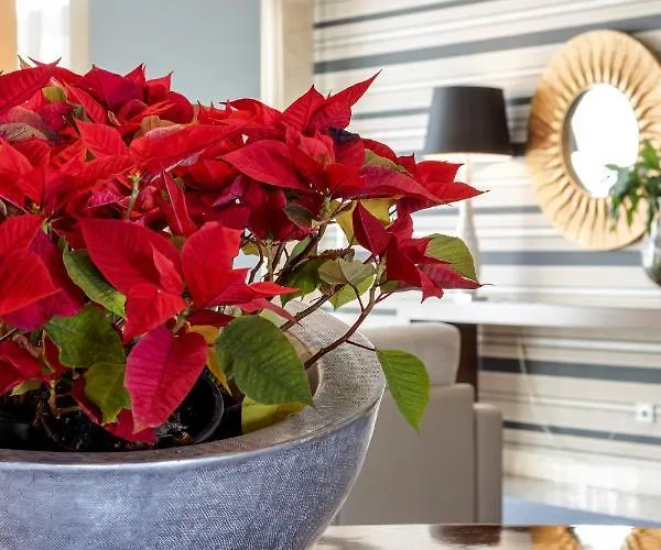 מלון Porta Do Sol Conference & קמיניה