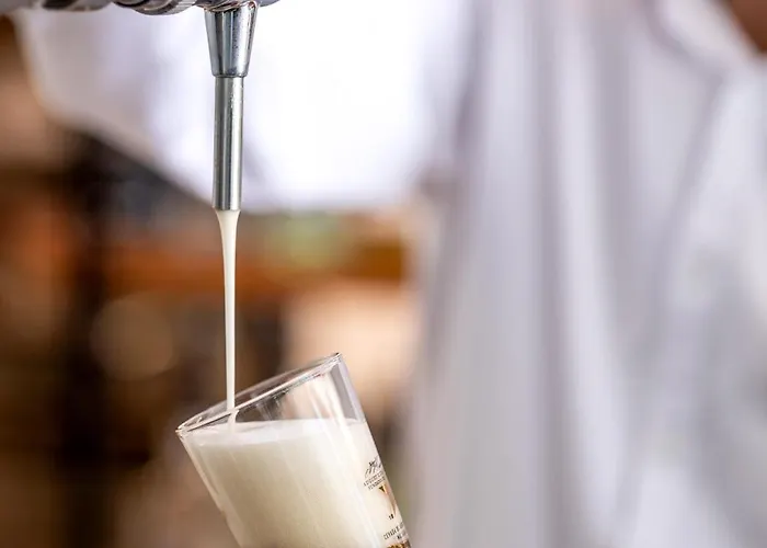 Porta Do Sol Conference & Caminha